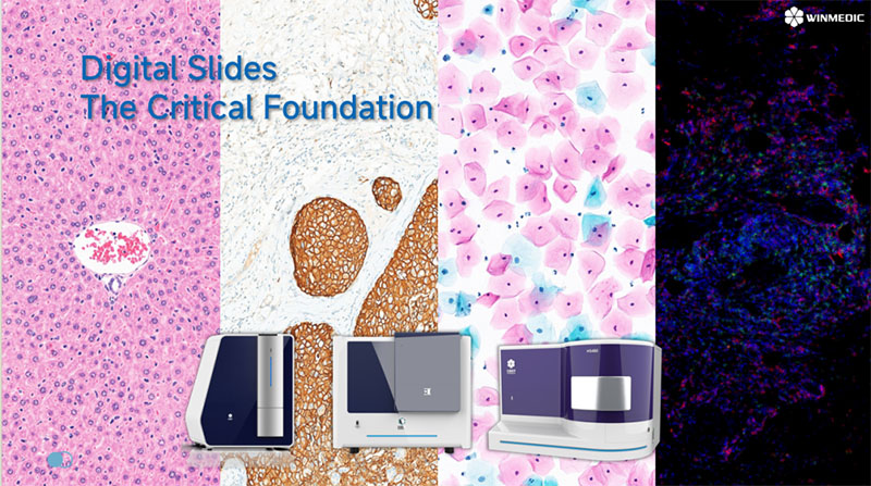 Congrès sur la pathologie numérique et l'IA.jpg Congrès sur la pathologie numérique et l'IA.jpg