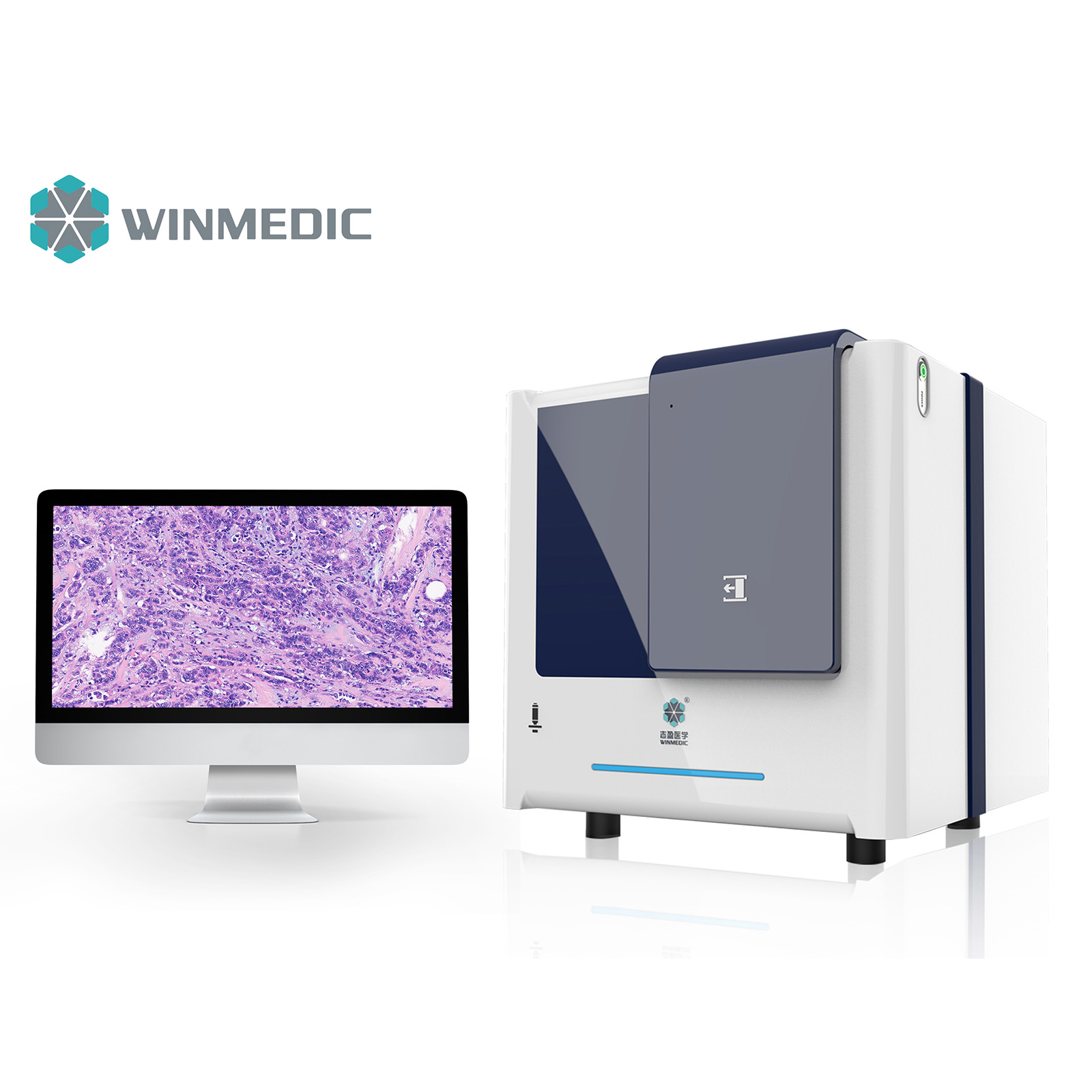 Máy quét huỳnh quang và trường sáng 180 slide