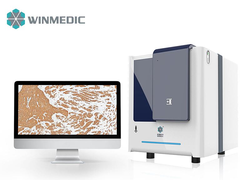 WINMEDIC Digital Pathology Solutions at the 14th Asia-Pacific International Academy of Pathology Congress (AP-IAP 2025).jpg