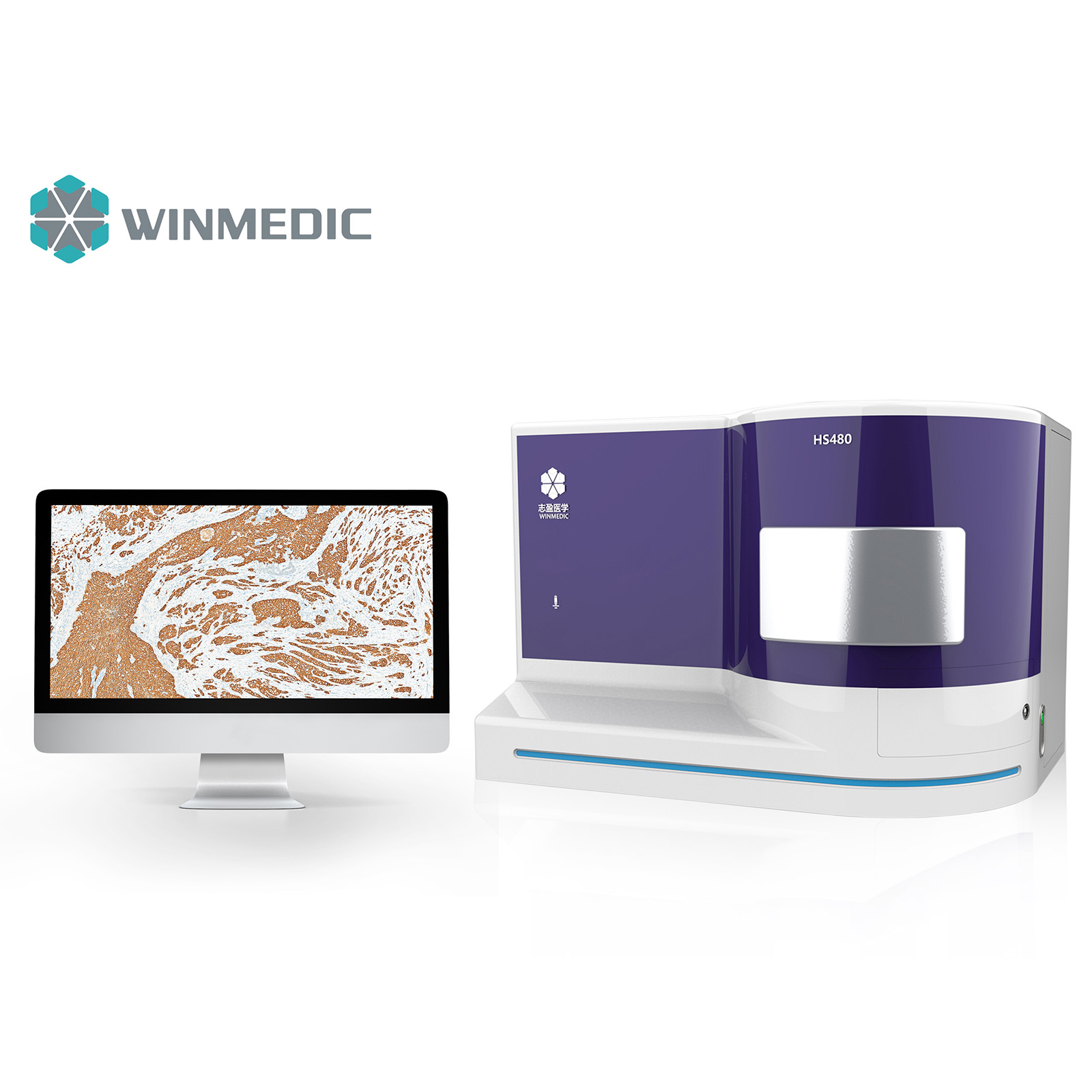 Pathologiescanner mit mehreren Linsen und 480 Objektträgern