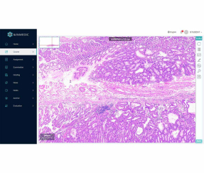Giải pháp giáo dục bệnh lý trực tuyến