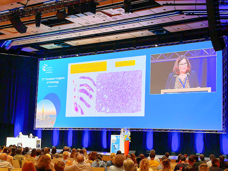 WINMEDIC auf dem 37. Europäischen Kongress für Pathologie.jpg WINMEDIC auf dem 37. Europäischen Kongress für Pathologie.jpg
