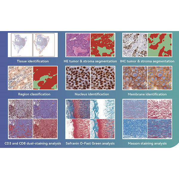 Quantitative Analysis Software