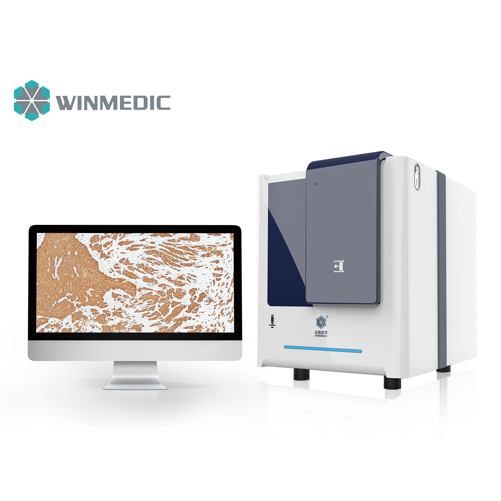 Máy quét slide Brightfield 60 slide