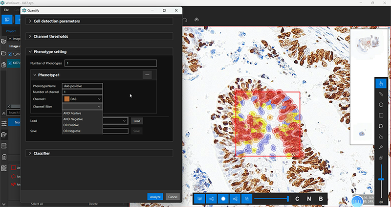 Quantitative Analysis Software.png Quantitative Analysis Software.png