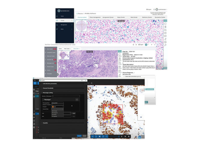 WINMEDIC Standpunkt: Digitale Pathologie KI