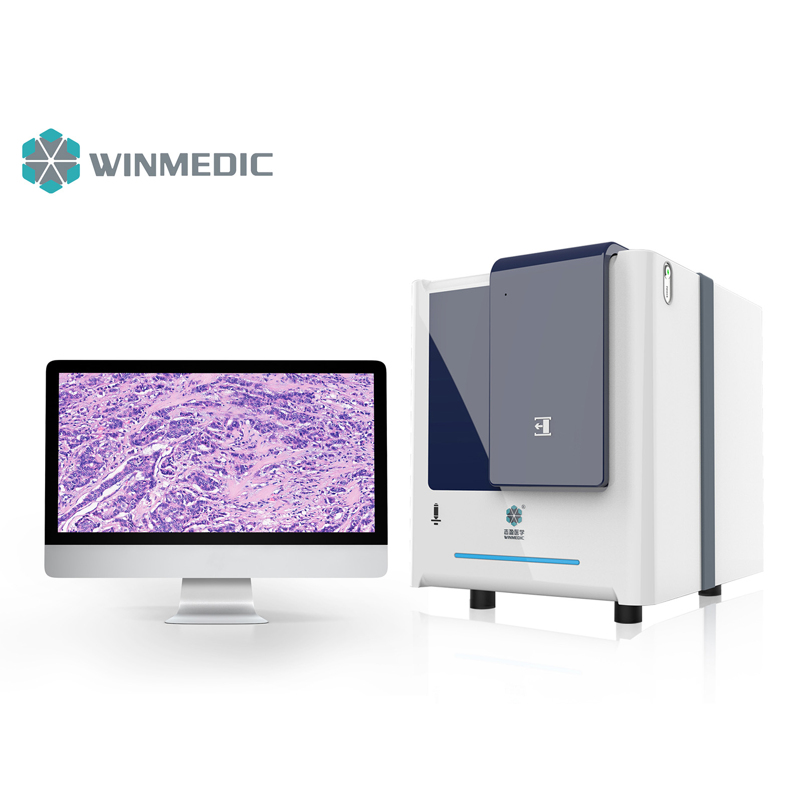 Máy quét huỳnh quang và trường sáng 60 slide