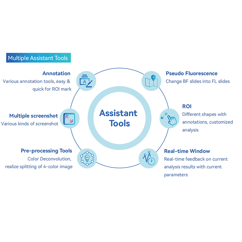 Quantitative Analysis Software