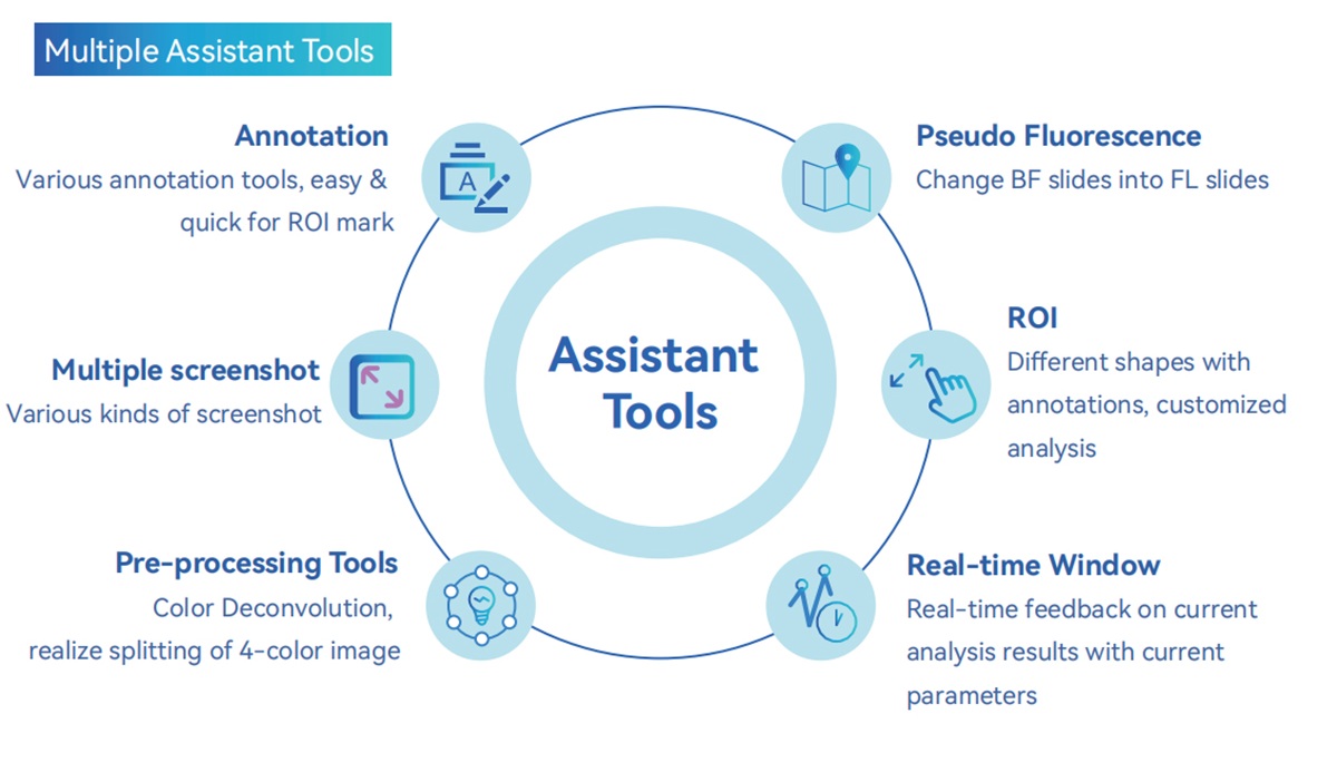 डिजिटल पैथोलॉजी इमेज विश्लेषण.jpg