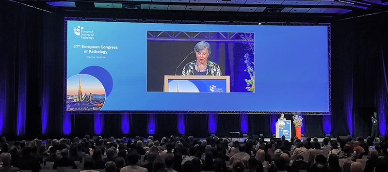 WINMEDIC auf dem 37. Europäischen Kongress für Pathologie.jpg WINMEDIC auf dem 37. Europäischen Kongress für Pathologie.jpg