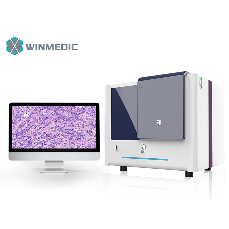 300 Objektträger Hellfeld- und Fluoreszenzscanner