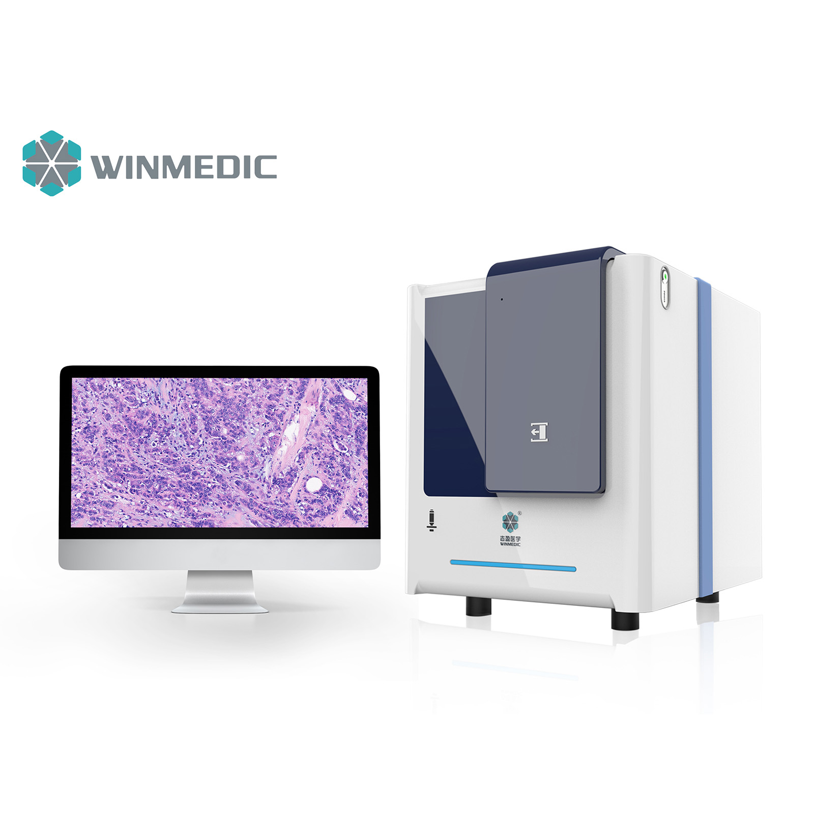 Máy quét huỳnh quang và trường sáng 20 slide