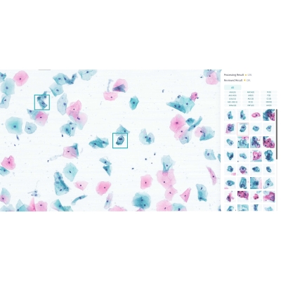 Система обработки цитологических изображений на основе ИИ