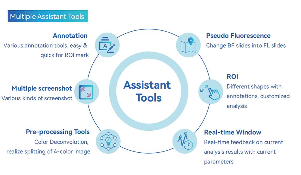 Quantitative Analysis Software.png Quantitative Analysis Software.png