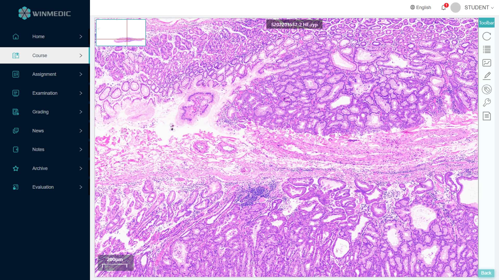 Phần mềm khóa học bệnh lý số