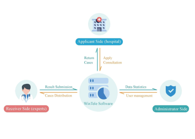 Ferndiagnose-Software