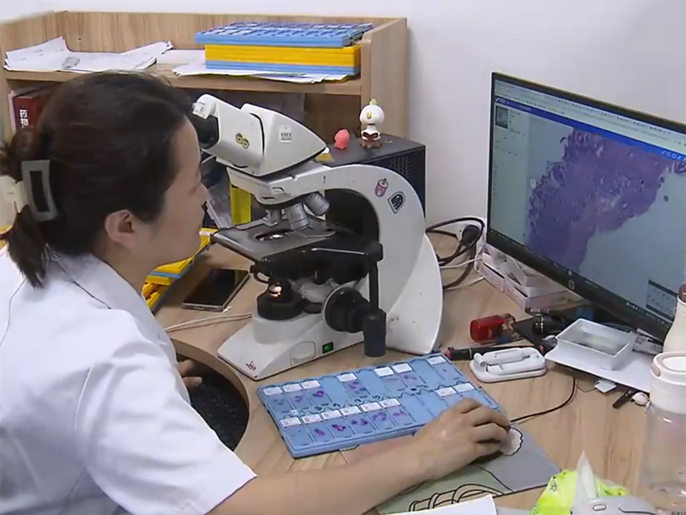 RuiPath Pathology Model Open-Source Launch.jpg RuiPath Pathology Model Open-Source Launch.jpg